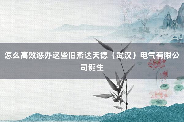 怎么高效惩办这些旧燕达天德(武汉)电气有限公司诞生